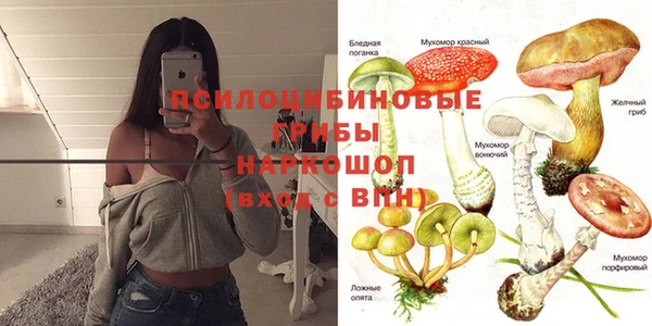 мяу мяу кристалл Бородино