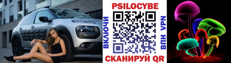 Галлюциногенные грибы Psilocybine cubensis  Купить  Заозёрный 