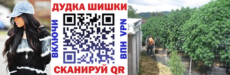 Каннабис AK-47  Купить где  Заозёрный 